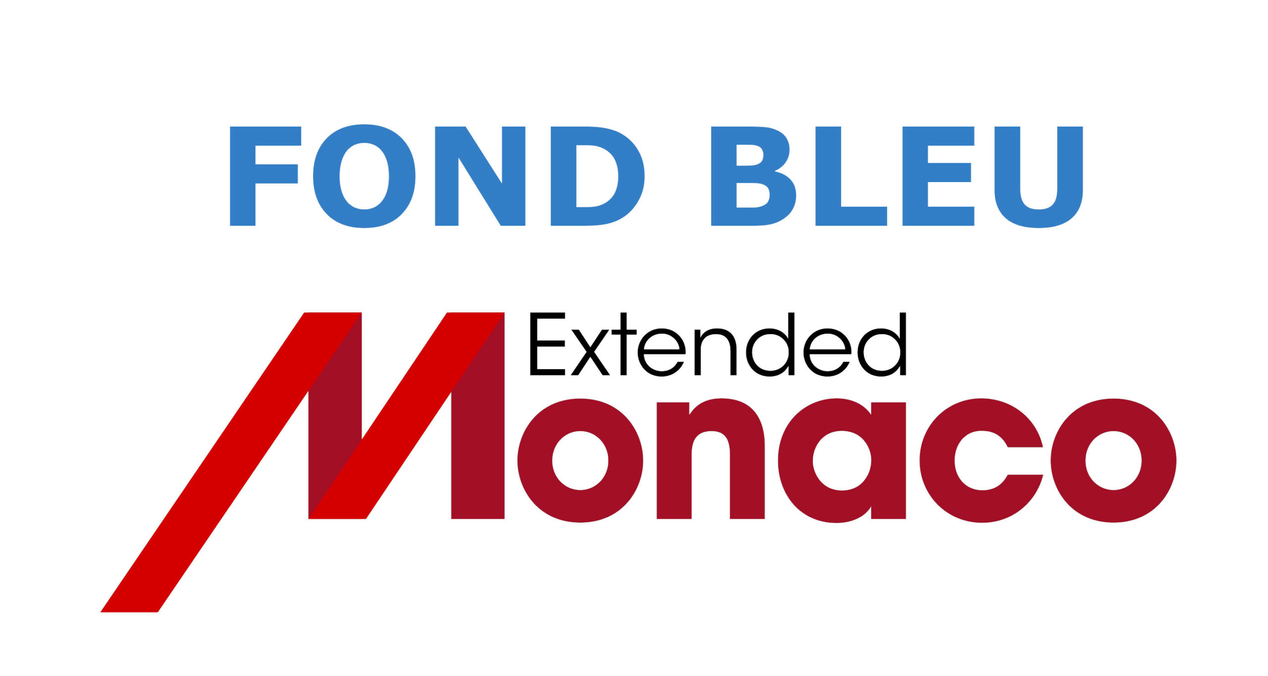 Fonds Bleu Monaco pour la transition numérique des entreprises